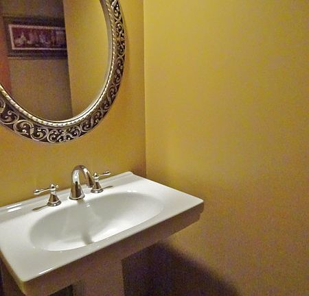 Jack and Jill Bathroom Downstairs