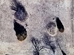 1513 N Post Rd, Midwest City, OK 73130