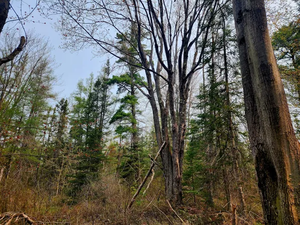 PIKE LAKE GRADE & Champs Elysees, Gould City, MI 49838