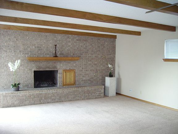 Wood burning fireplace