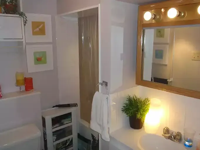 1 bed, 1.0 bath, 600 sqft, $1,485 — Photo 2