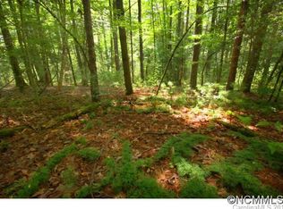 M137 Camptown Rd #M137, Brevard, NC 28712