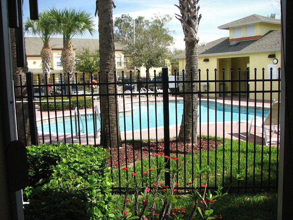 Pool view from screened porch