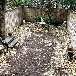 Rented by The Find NY