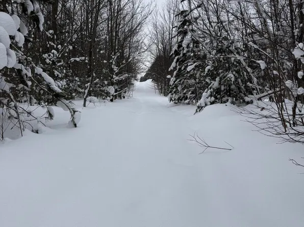 Little Ln NE, Kalkaska, MI 49646