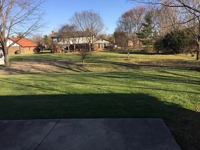 Back Patio