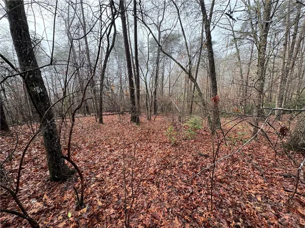 LOT 20 Old Shallowford Bridge Rd, Sunset, SC 29685