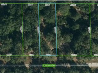231 Putney Ave NW, Lake Placid, FL 33852