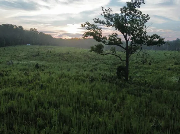 0 Landscape Rd, Ridgeway, SC 29130