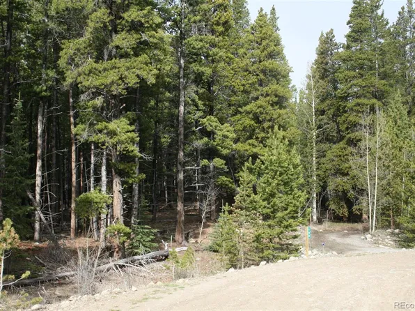 180 VOTS Drive LOT 1222, Fairplay, CO 80440