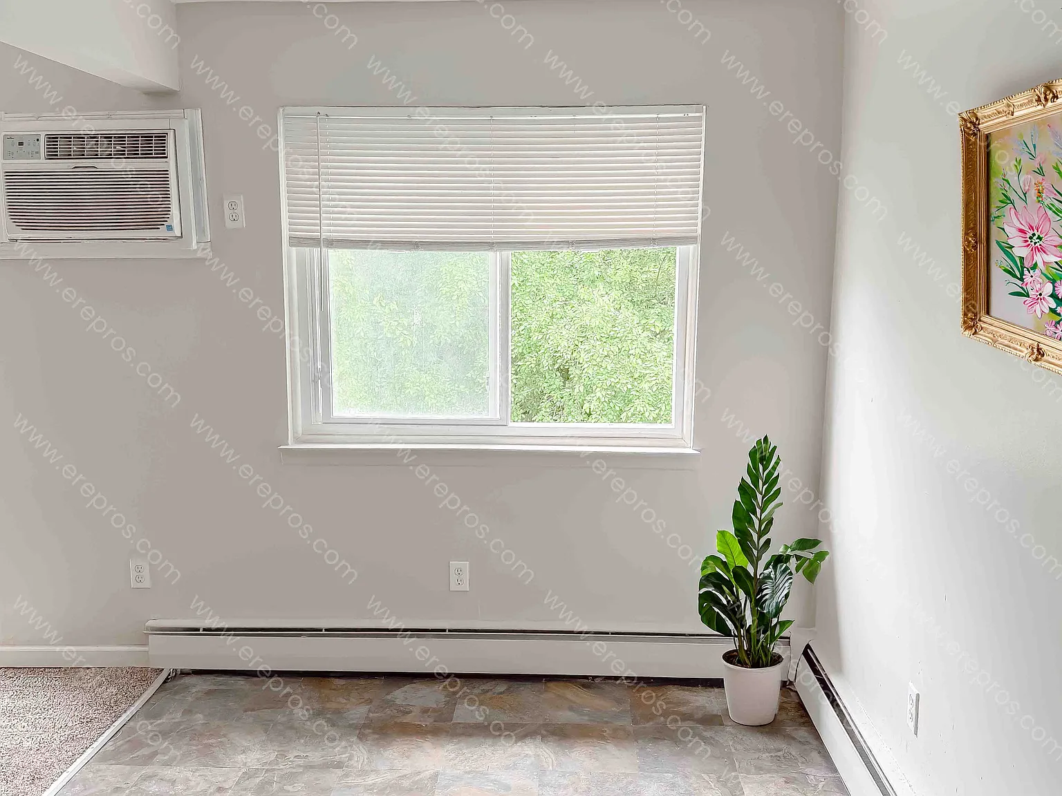 2 bed, 900 sqft, $800 — Photo 4