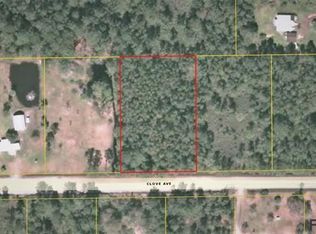 4374 Clove Ave, Bunnell, FL 32110