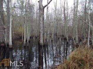 662 Henry Currington Rd, Mauk, GA 31058