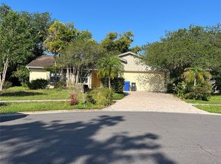 3903 Santee Way, Valrico, FL 33596