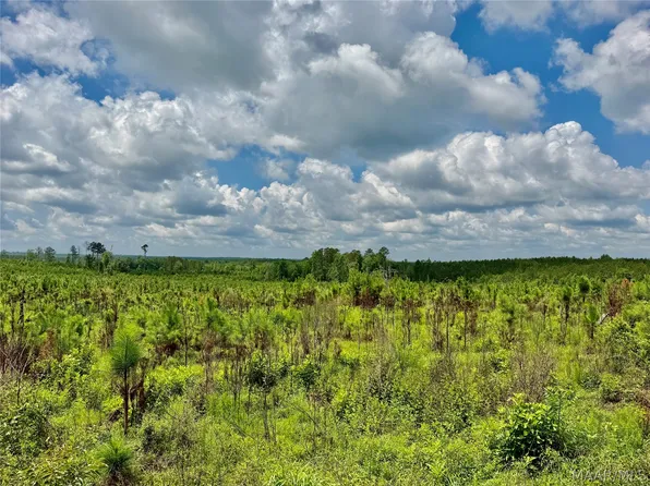 0 King Cemetery Rd, Evergreen, AL 36401