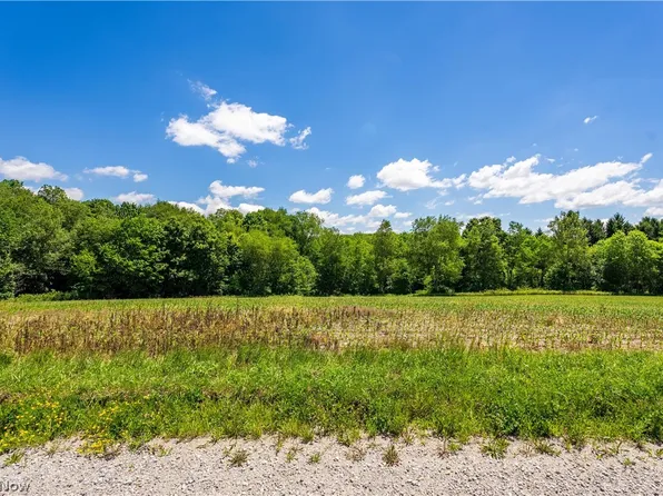 8008 Reef Rd NE, Mechanicstown, OH 44651