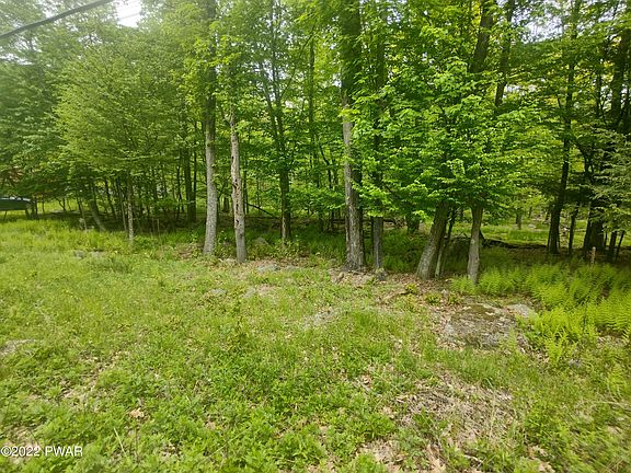 4th image of 11 Wallenpaupack Dr