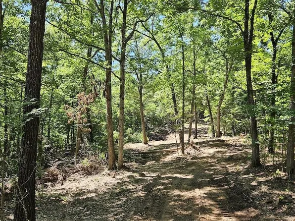 (undisclosed Address), Peel, AR 72668