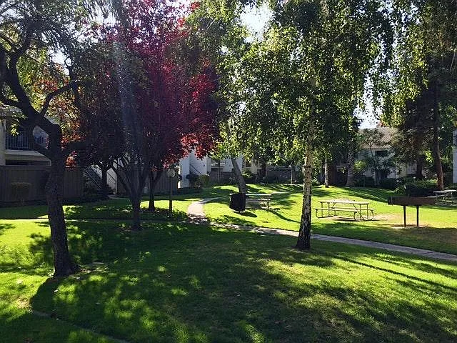 BBQ Area