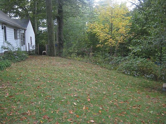 yard behind the house 