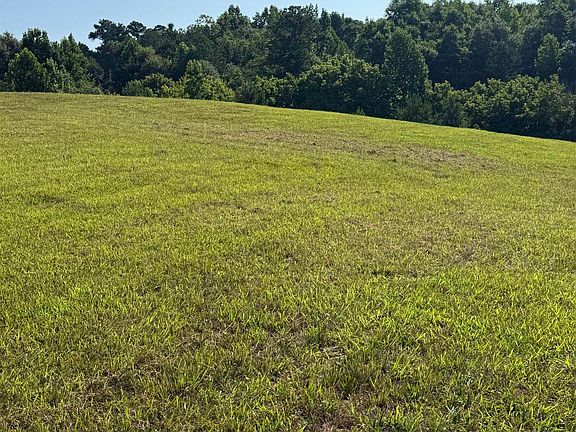 3rd image of 0 County Road 450 #0