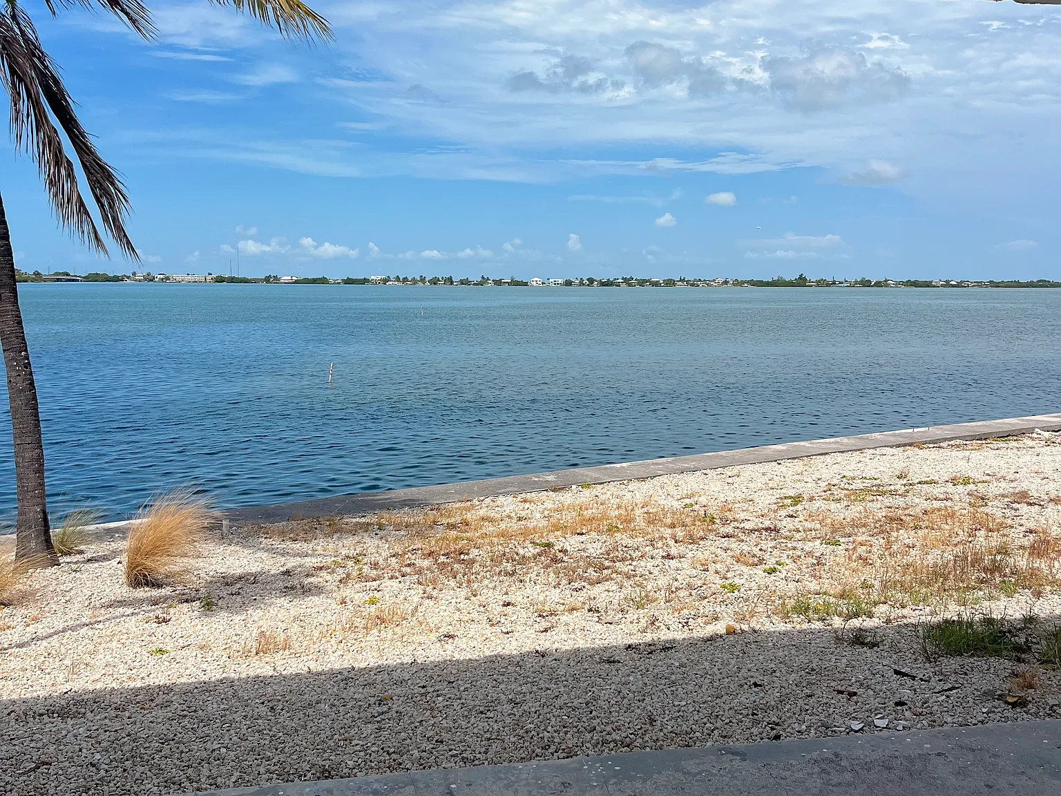 1 bed, 900 sqft, $3,800 — Photo 3