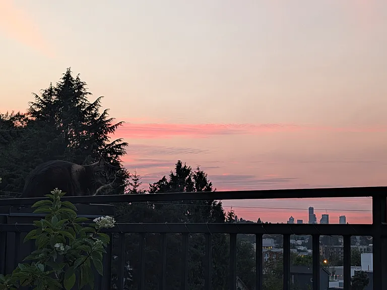 S Brandon St — Photo 18