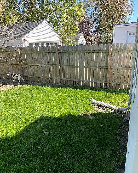 Back yard