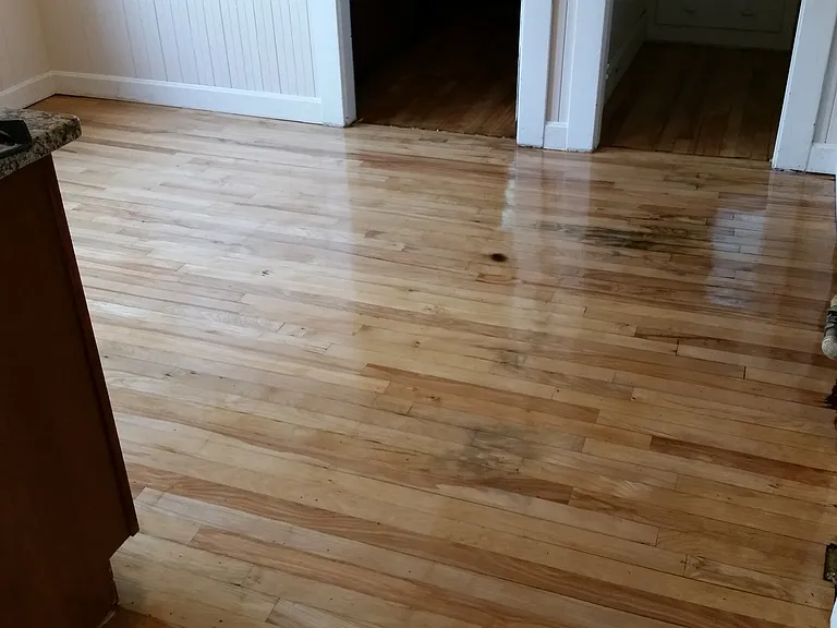 Beautiful hardwood floor in kitchen