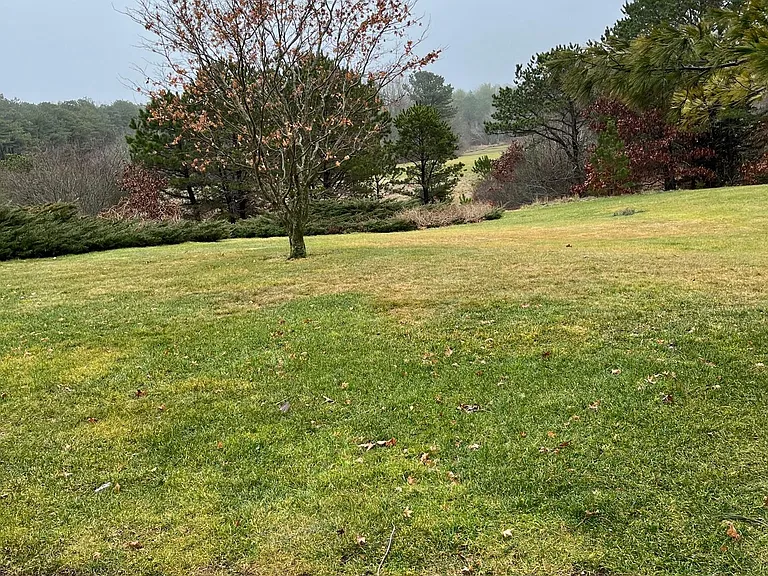 View out back of Condo