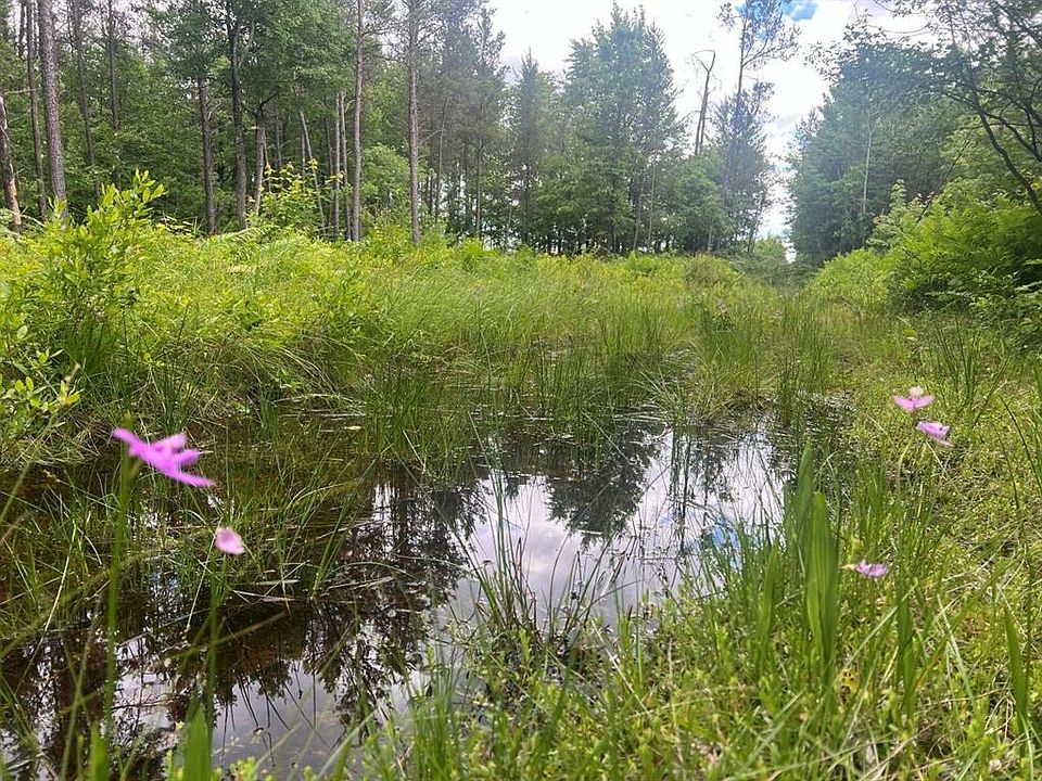 1st image of 0 Old Highway 54