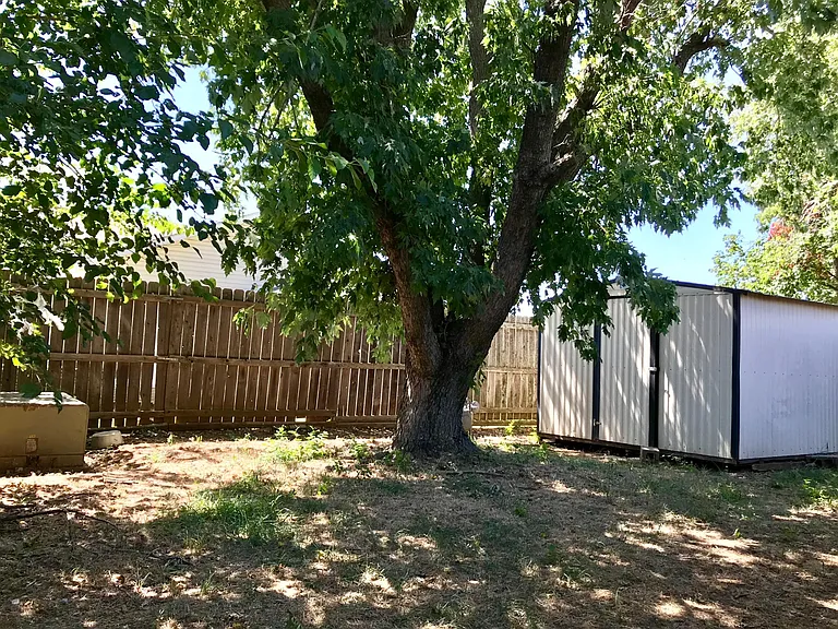 Tree has been removed