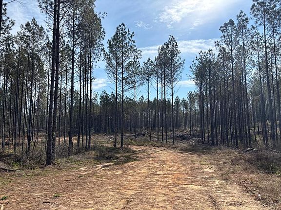 5th image of 0 County Road 142
