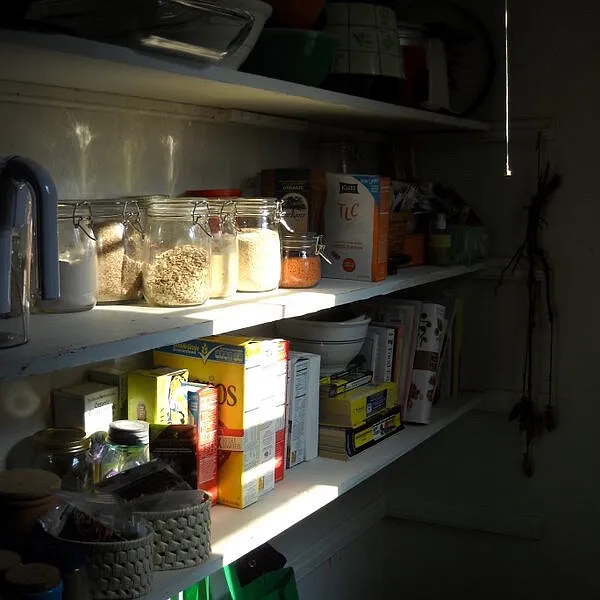 1 bed, $1,200 — Photo 2