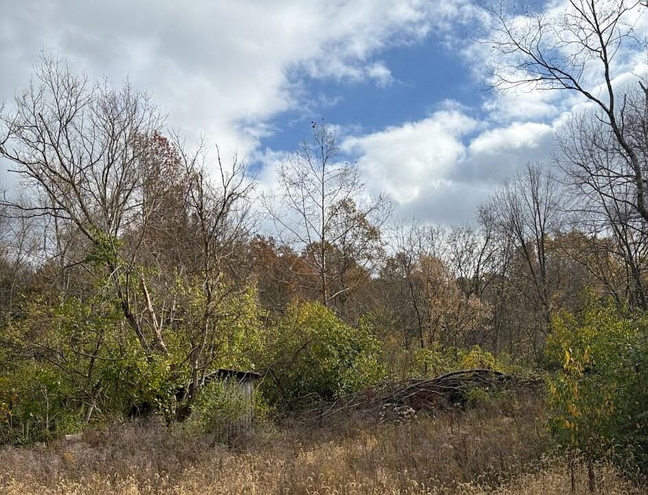 2nd image of 0 State Highway 47