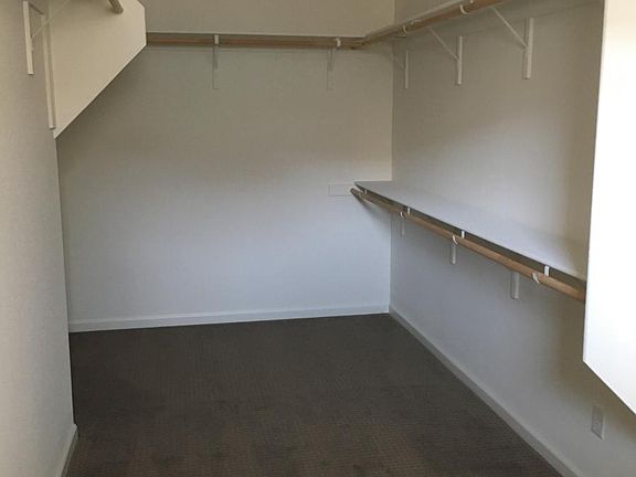 Master Walk-in Closet