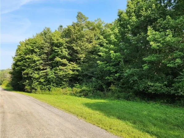 0 Louis Ridge Rd #9, Frankfort, NY 13340