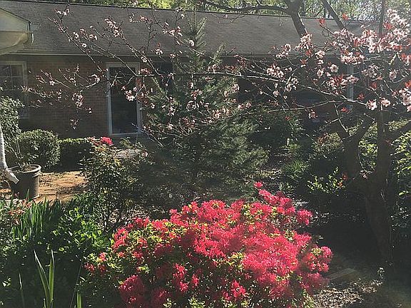 Spring is glorious here!