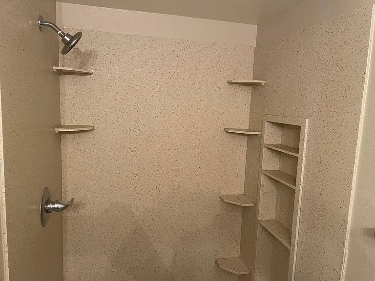 Master shower