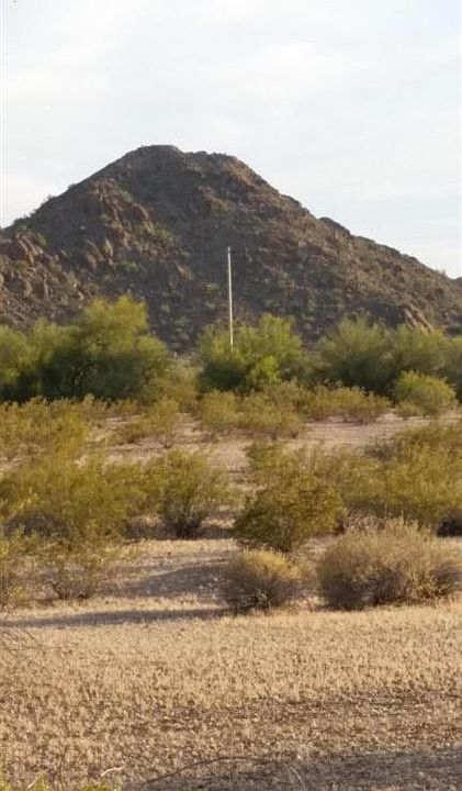 2nd image of 187XX3 W Riggs Rd