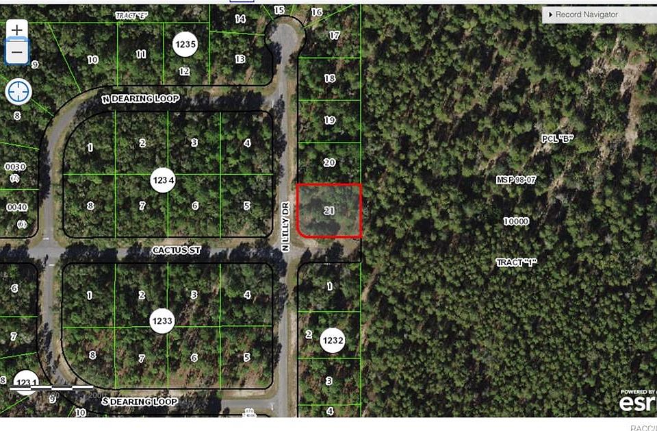 2nd image of 9731 N Lily Dr