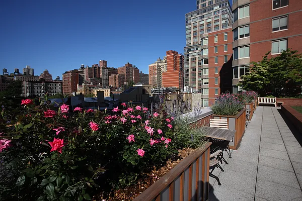 Rented by The Monterey | media 20