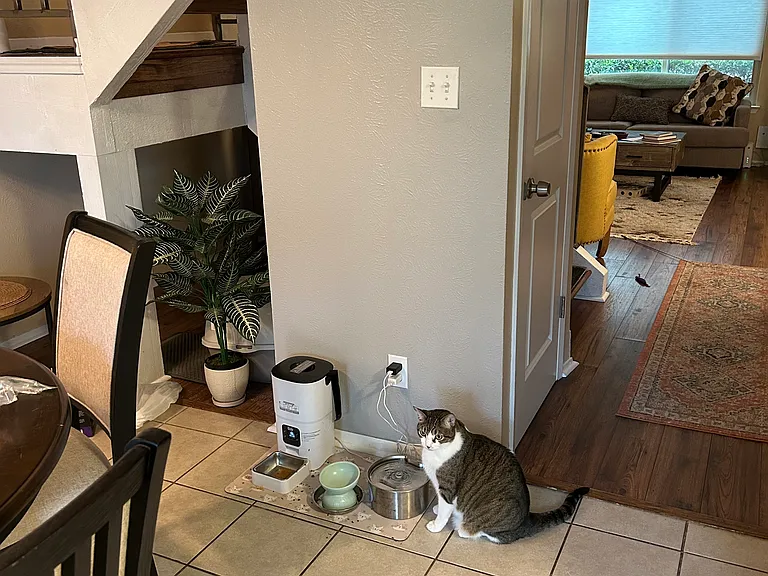 Quail Village Ln — Photo 11