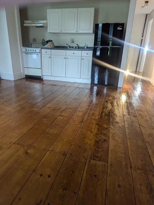 1 bed, 900 sqft, $1,100 — Photo 3