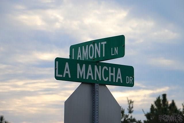 2nd image of 88 La Mancha Dr