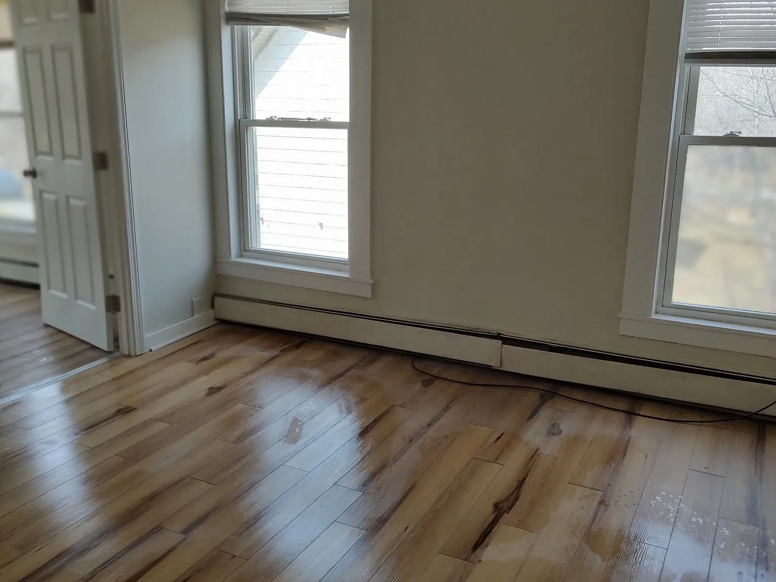 2 bed, 1.0 bath, 700 sqft, $1,450 — Photo 4