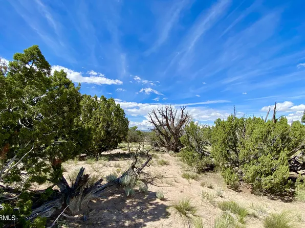 TBD N6112 -- #-, St Johns, AZ 85936