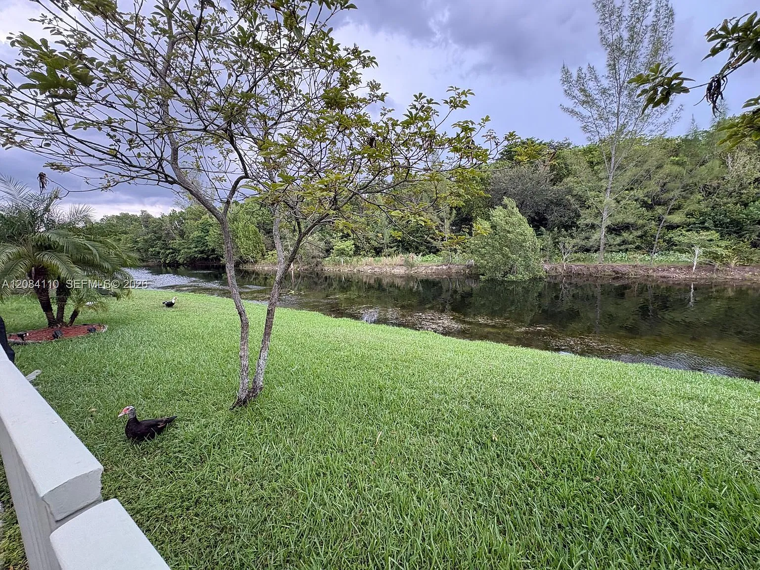 2 bed, 2.5 bath, 1379 sqft, $2,550 — Photo 3