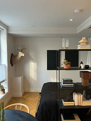 Rented by Hillel Realty Group | media 12