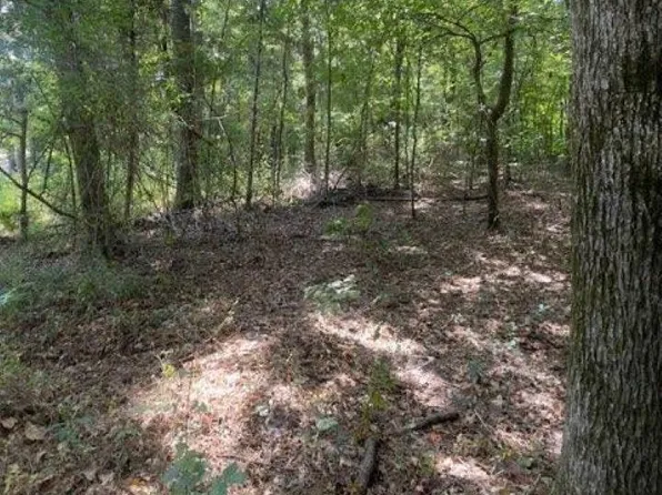 515 Caroline Ln, Bullard, TX 75757